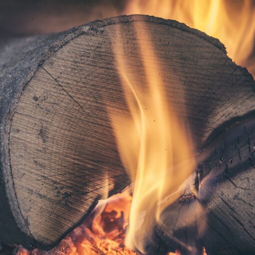 log, wood, fire