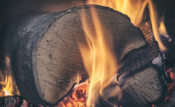 log, wood, fire