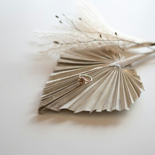 white and brown feather on white surface