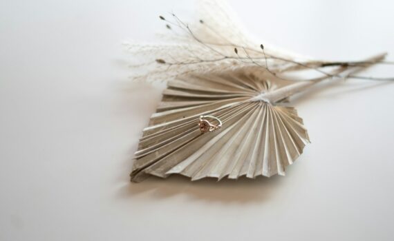 white and brown feather on white surface