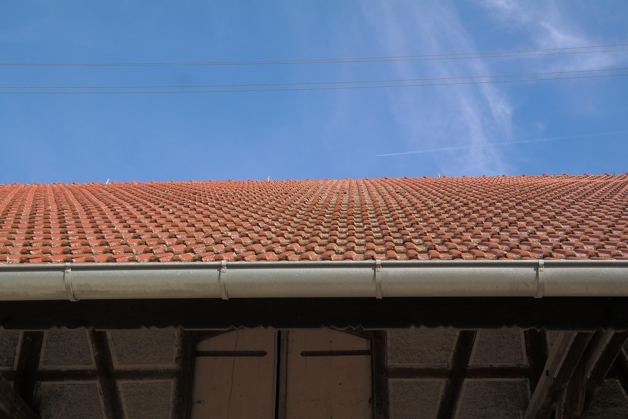 roof panels, gutter, roof, barn, scheuer, housetop, building, architecture, truss, power lines, gutter, gutter, gutter, gutter, gutter