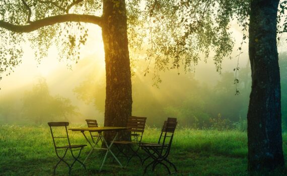 sunrise, morning, chairs, table, trees, foggy, misty, backlight, nature, happy, quiet, optimism, positive, beginning, green, leaves, garden, garden, garden, garden, garden, garden